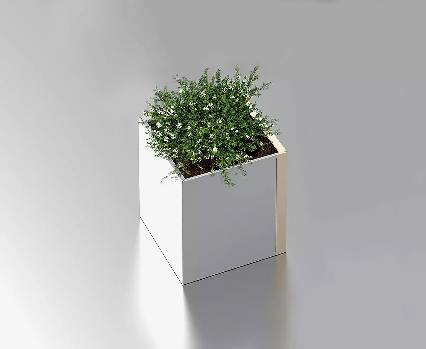 Vorschau: 4638_F_020 Vorschau: 4638_F_020